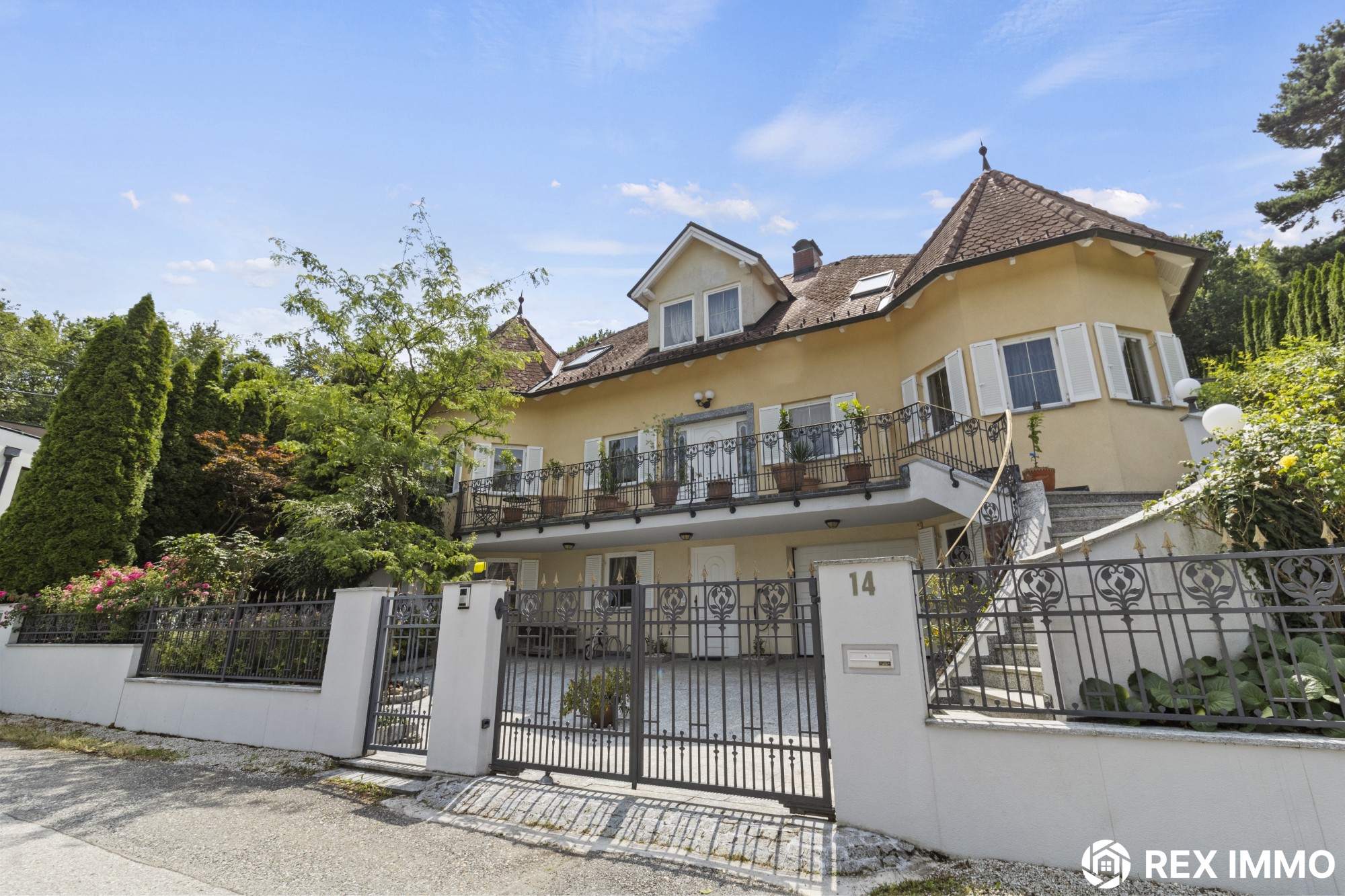 Wohnraum Wien professionell fotografiert, Orientteppich als Home Staging Element, Rex Immo