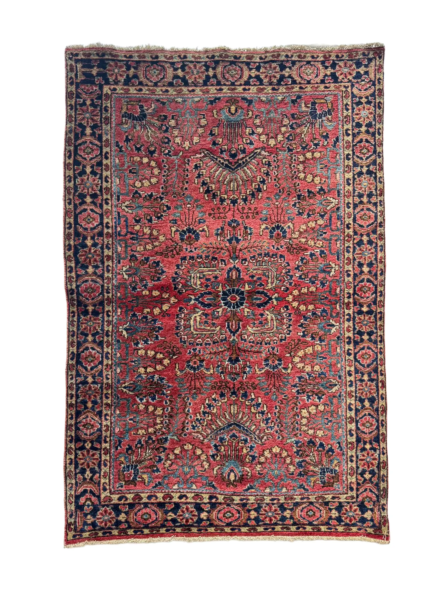 amerikanischer saruk web