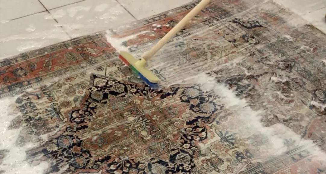 Professionelle Teppichreinigung in Wien – biologische Nasswäsche